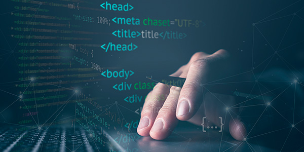 Beyond the Basics: Custom Software Development to Solve Unique Business Challenges